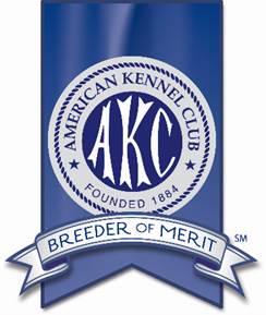 AKC Great Dane Breeder of Merit